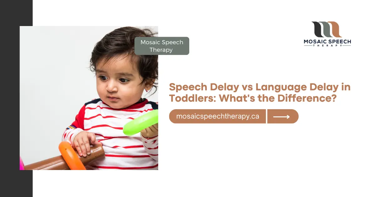 Speech Delay vs Language Delay in Toddlers What's the Difference - Image 101 (1)